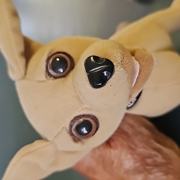 4 Tocco Bell dogs. Very good used condition Adorable little‎ guys. - Picture 4 of 7